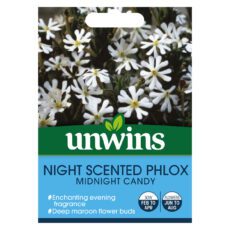 5051618032339 1 Night Phlox Midnight Candy Seeds.jpg
